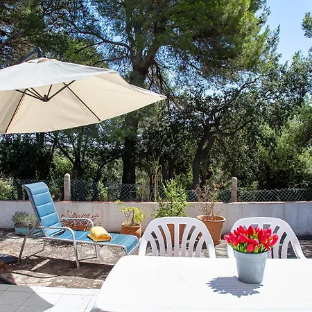 بيت للعطل Andrea *