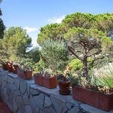 Дом отдыха Andrea