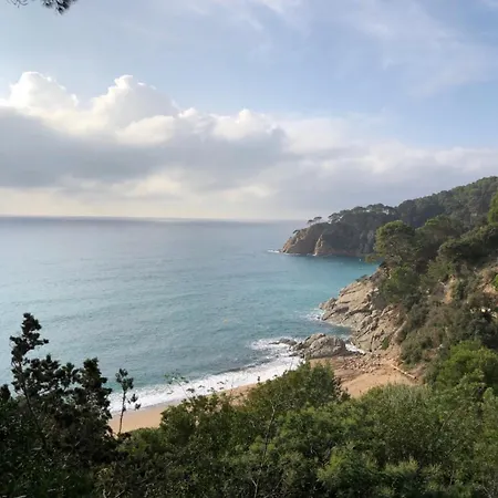 Будинок відпочинку Andrea *