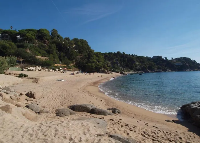 Дом отдыха Andrea *