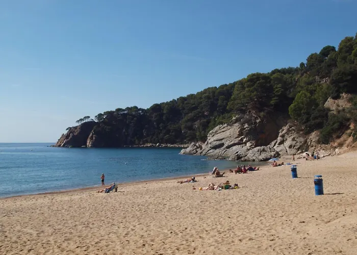 Andrea Тосса-де-Мар