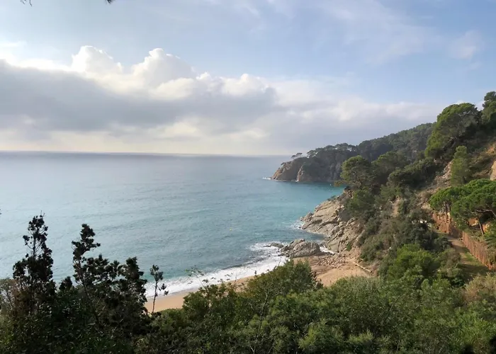 Дом отдыха Andrea *